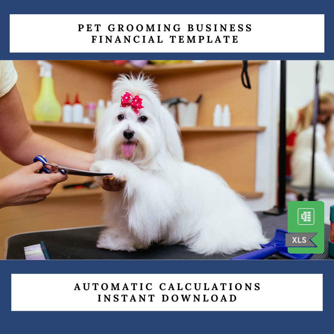 Pet Grooming Business Plans Financial Statement Template, Pet Grooming Revenue & Expense Breakdown, Financial Forecasting for Pet Grooming