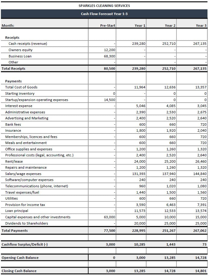 Cleaning Company Financial Template