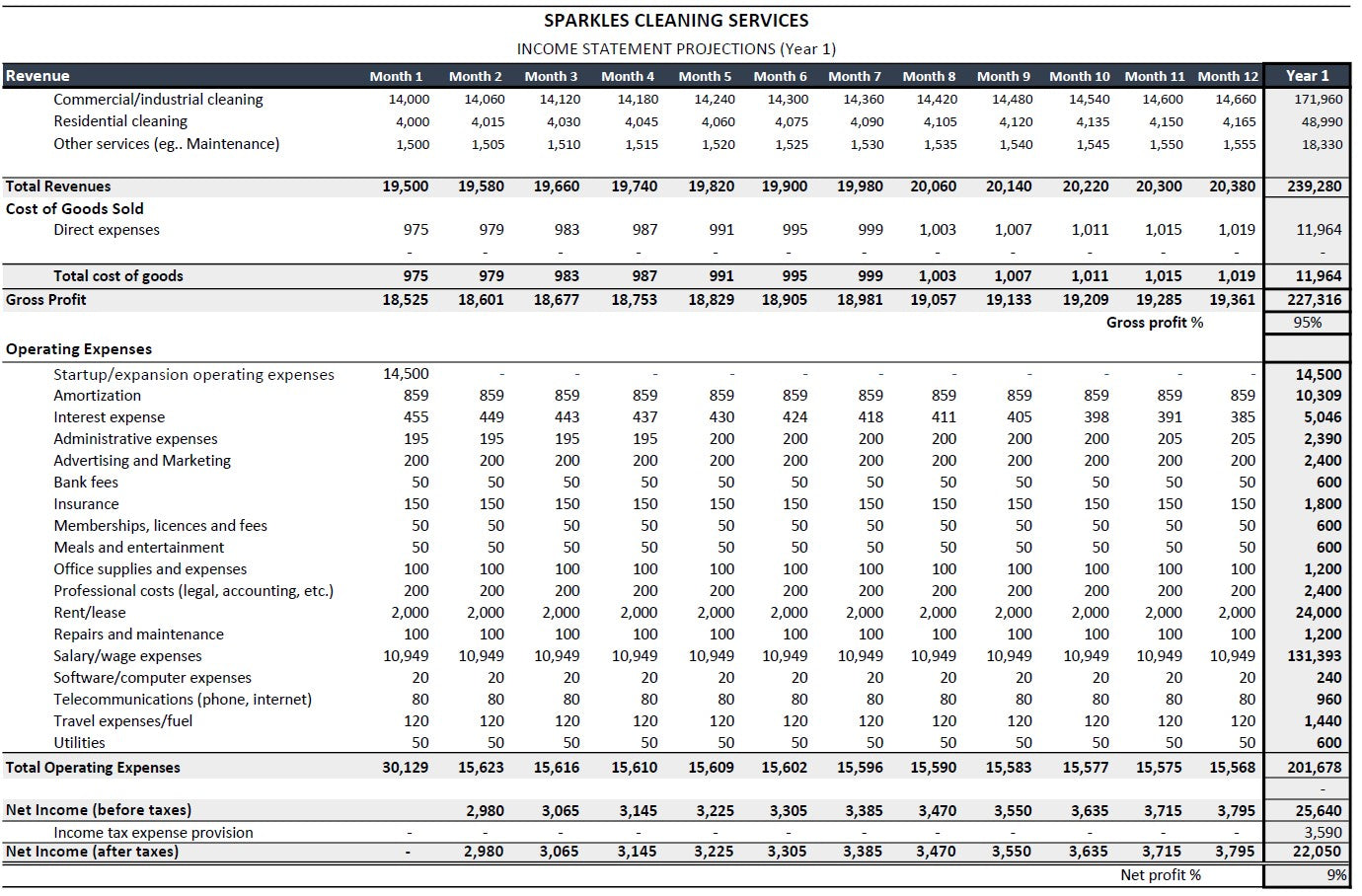 Cleaning Company Financial Template