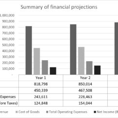 Trucking financial summary